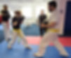 adults and instructor having fun in a martial arts class