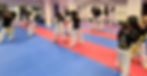 children and adults in a martial arts class