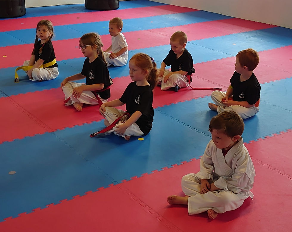 Ninja Tots martial arts class, children sat down and focused