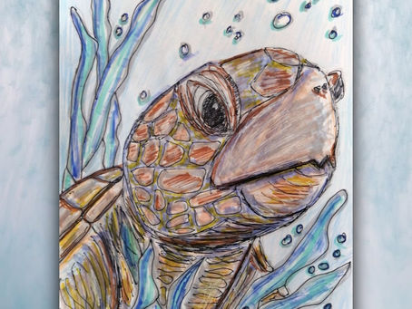 Sea turtle drawing