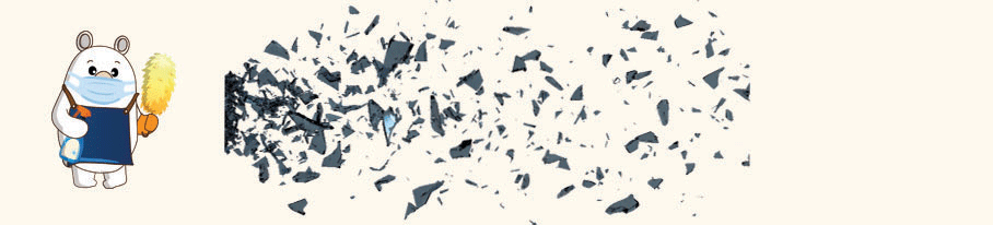 InStyle cleaning dusting