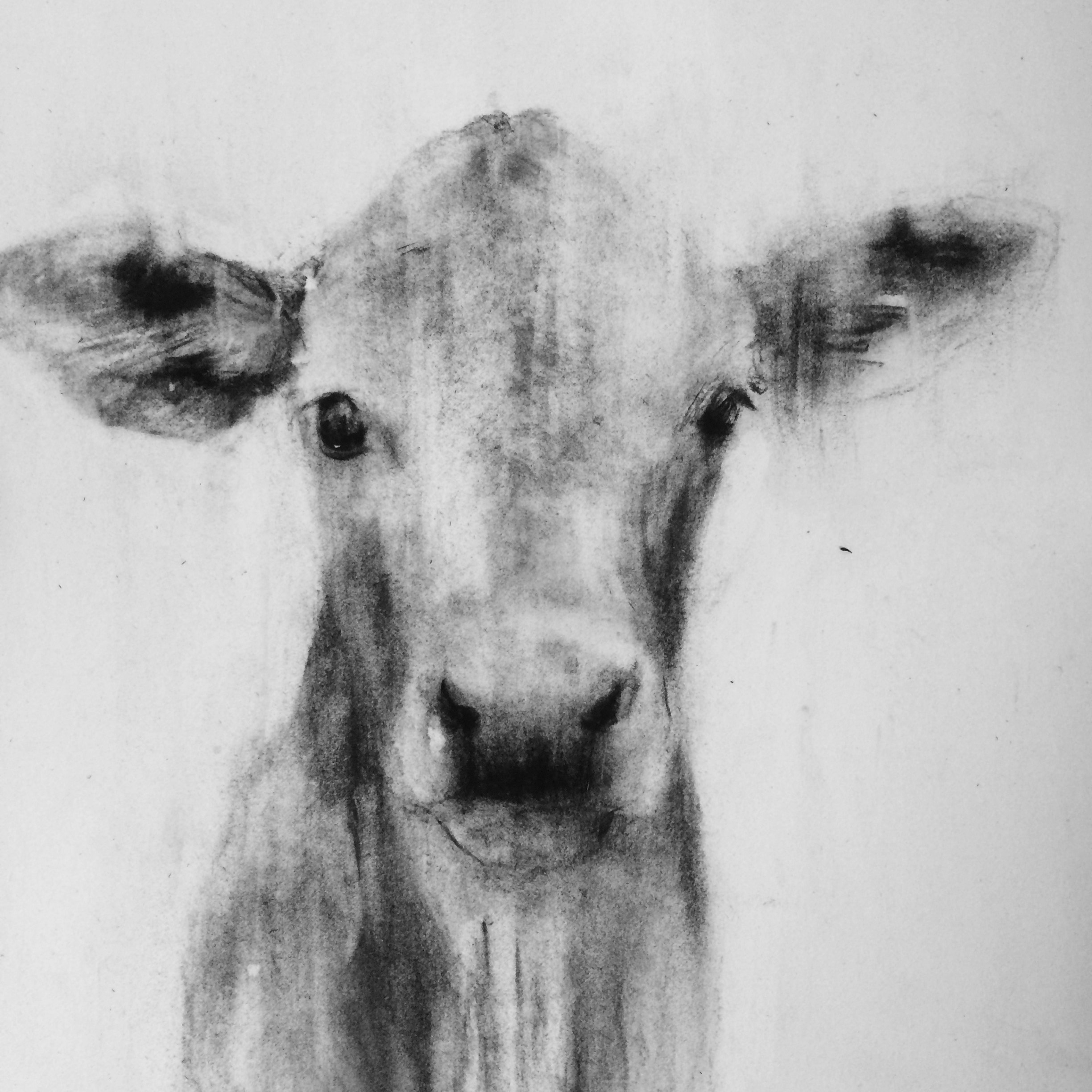 Kalf Portrait