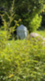 Garten mit vielen Sitzmöglichkeiten
