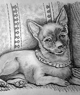 CouchPup.jpg