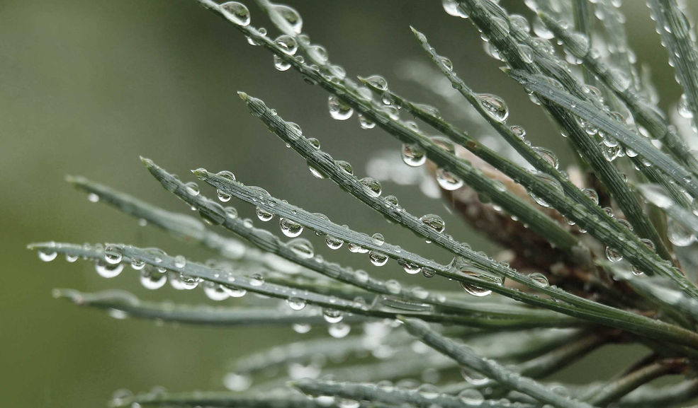 latitude-acupuncture-vermont-vt.jpg