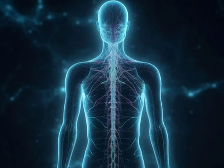 The meridian pathways of the human body explained by a Vermont acupunturist
