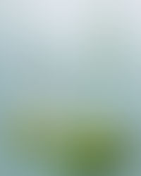 A minimalist arrangement of glass flasks with botanical water and delicate white flowers, symbolising HydraCalm™ Complex — soothing, hydrating, and balanced.