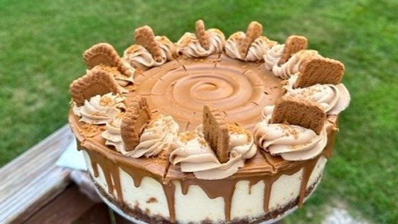 Cookie Butter Cheesecake