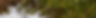 Olive Header 2.2.jpeg