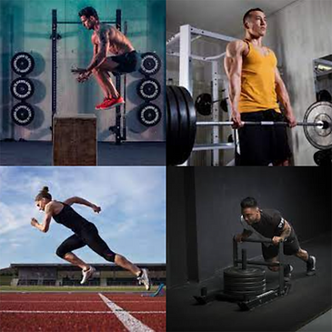 Blank 4 Grids Collage.png