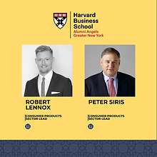 Sector Lead V1 (5).png