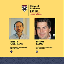 Sector Lead V1 (14).png