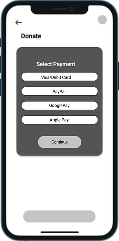 Payment info1.png