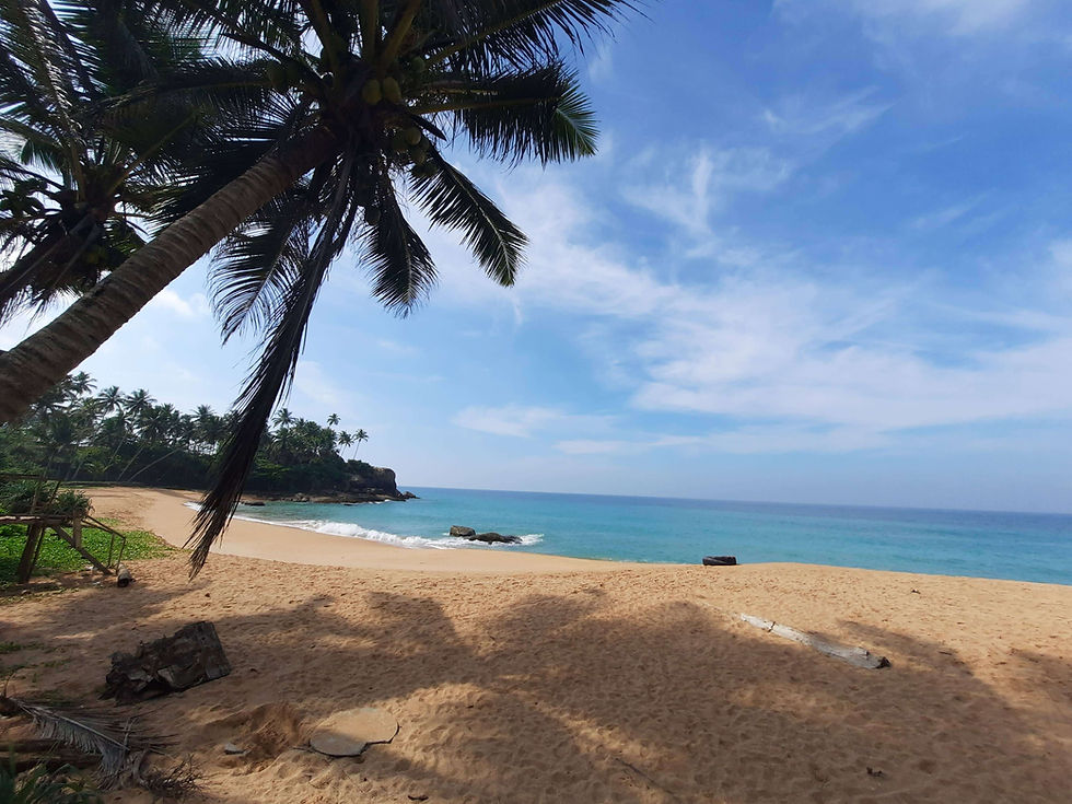 Letter from Balapitiya Beach - Eden's shore.