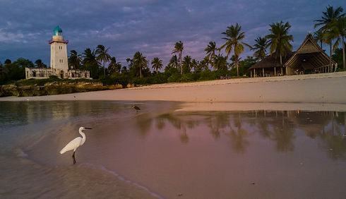 Tanzania Fanjove Island Lighthouse Conservation Community