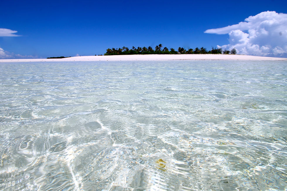 Tanzania Fanjove Island Crystal Clear Indian Ocean Tanzania
