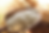 Thumbnail: French Sea Salt High Mineral  Fine & Coarse Celtic Salt Light Grey French Celtic Sea