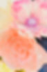 Version 2 (31).jpeg
