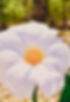 Version 2 (6).jpeg