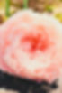 Version 2 (15).jpeg