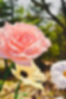 Version 2 (2).jpeg