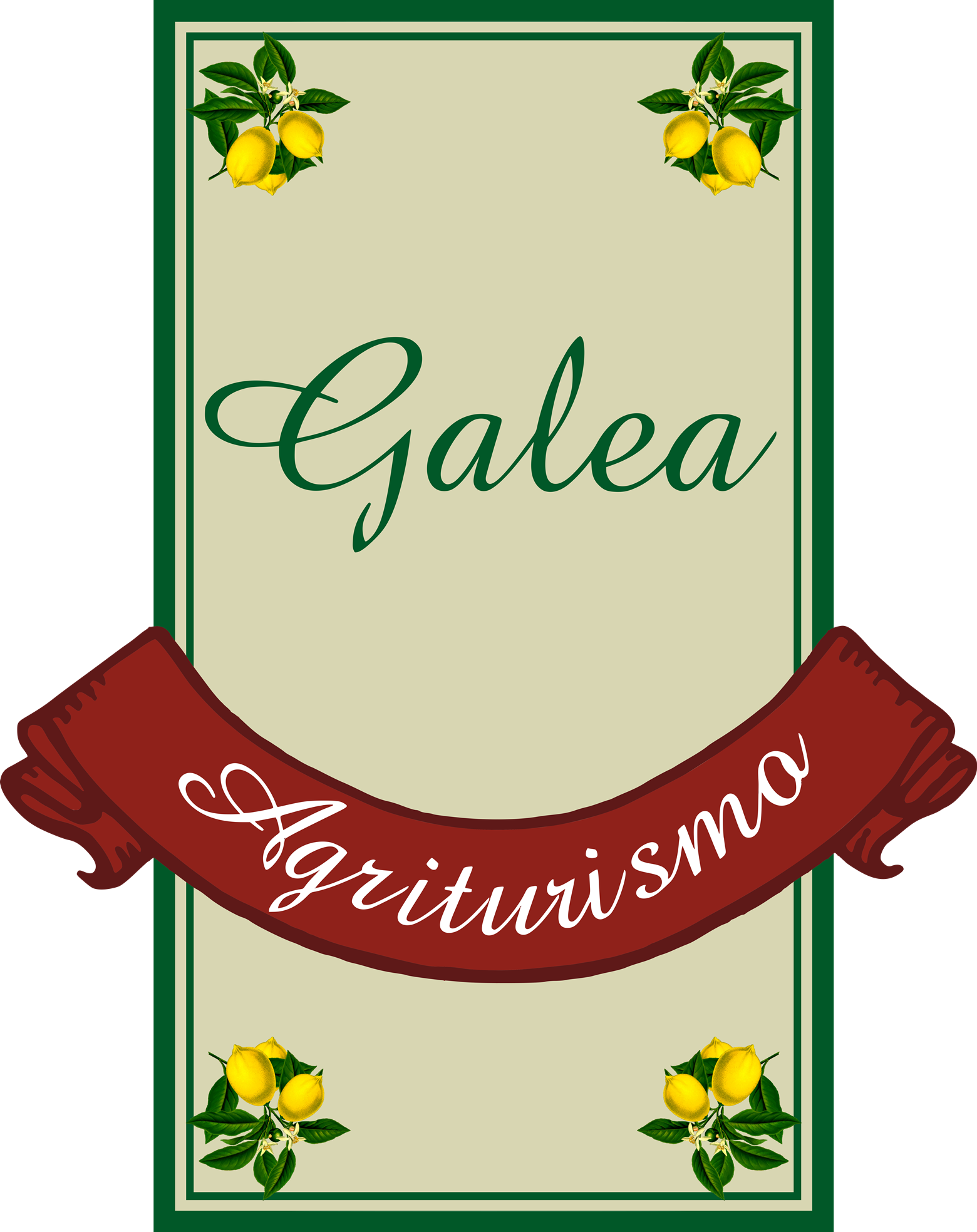 Galea photo 5