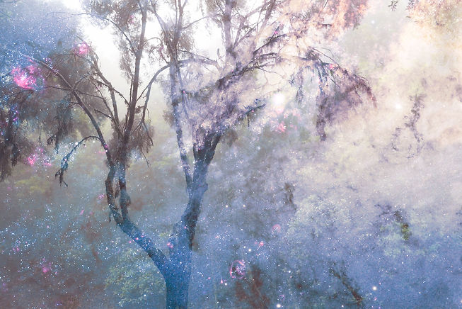 55140EFB-ACDD-4B86-B95C-B9F9D5274751.jpeg