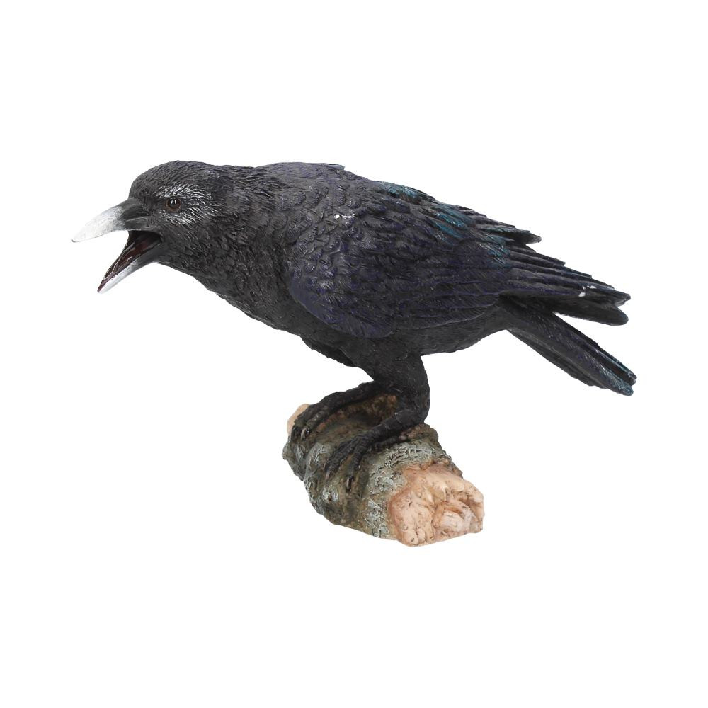 This piece looks as though it has risen from the pages of Edgar Allen Poe's poems and comes from Gothic brand Nemesis Now's giftware collection. This black Raven menacingly sits atop a thick, moss covered branch, claws gently grasping the structure. His feathers are beautifully sculpted to look as realistic as possible. His beak is wide open, calling to attention his avian brothers and sisters. Cast in the finest resin before being painstakingly hand-painted, this piece would take pride of place in any Gothic home.
