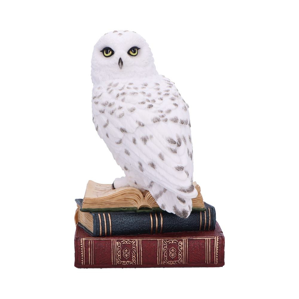 Delve into the mystical with our Library of Wisdom figurine, featuring a wise white owl perched atop a stack of arcane tomes. Expertly crafted from high-quality resin and hand-painted with intricate detail, this enchanting piece radiates magical energy. Perfect for adorning bookshelves, libraries, or office desks, our Library of Wisdom figurine appeals to fantasy enthusiasts and collectors alike. Let the wisdom of this figurine imbue your space with a touch of enchantment and allure.