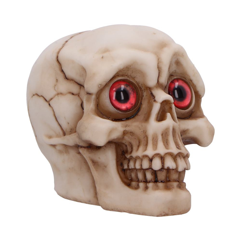 The Eyes Wide Open (Red) decoration features a distinctive skull design with attention-grabbing red eyes. Made from quality resin with a realistic bone appearance, this versatile piece offers a compelling addition to seasonal merchandise. The careful craftsmanship includes detailed teeth and an aged finish that appeals to decoration enthusiasts. Suitable for seasonal promotions or alternative home decor collections, this durable item offers excellent value with its unique appearance and quality construction. Its distinctive styling makes it an excellent addition to any retailer's selection of decorative accessories, particularly for customers seeking unique conversation pieces.