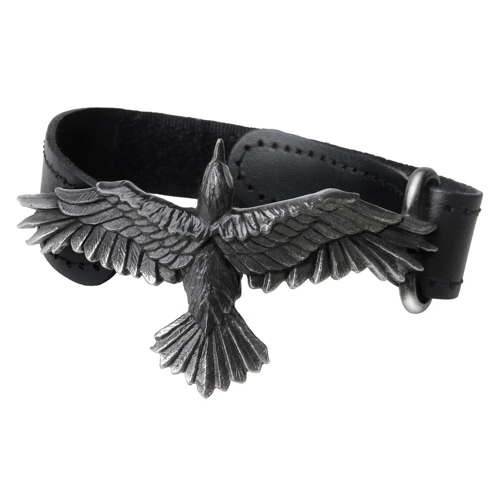 The majestic raven, wings outstretched, gliding alongside its adopted squire offering protection and guidance.