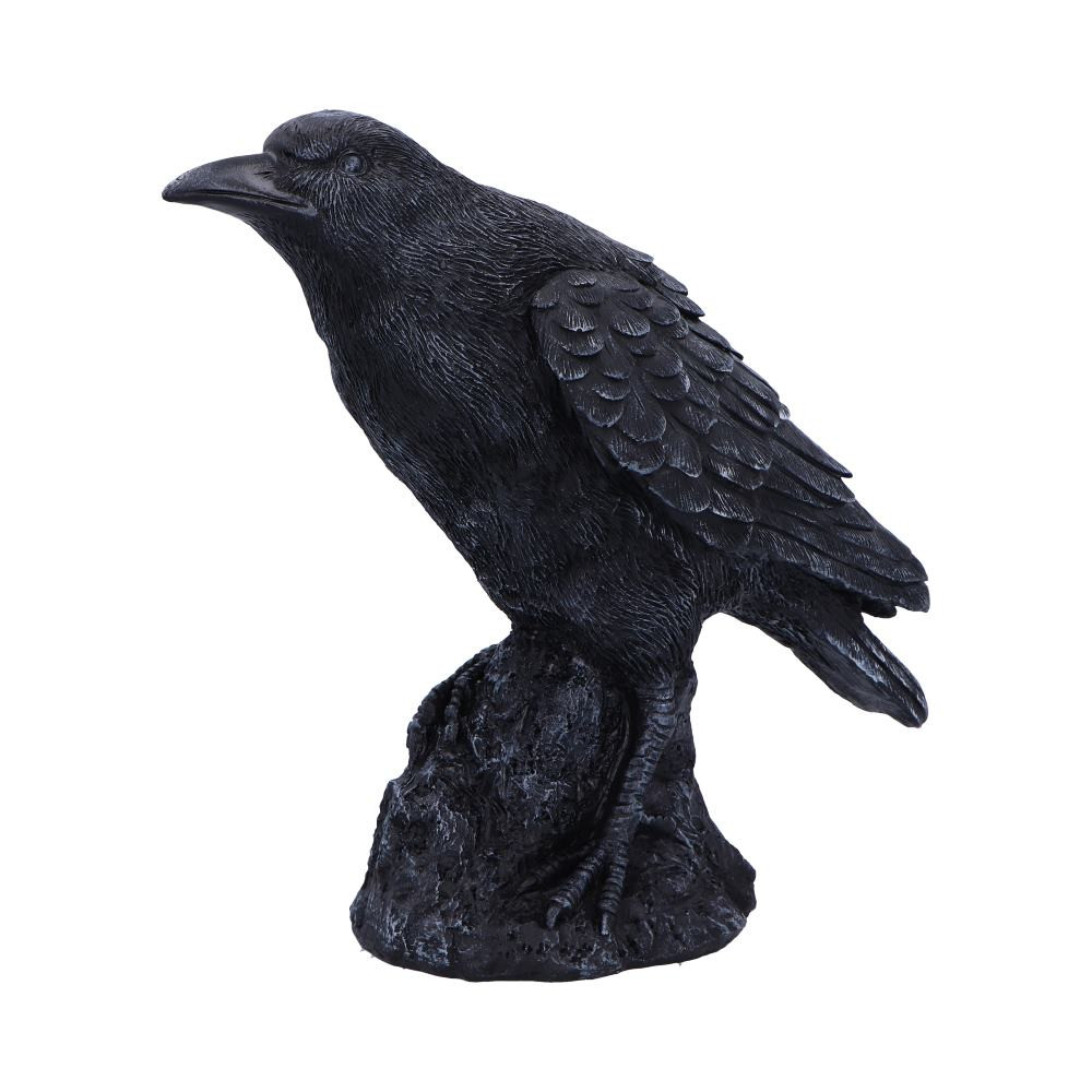 Immerse yourself in the mysterious allure of our Raven Messenger, a finely detailed statuette standing at 23.5cm tall that captures the enigmatic essence of these iconic birds, taken from Nemesis Now's premium collection. Crafted in resin and painted in a deep, velvety black, this captivating piece features a black raven perched atop a rugged black rock, its intense black eyes fixed ahead with a gaze of curiosity. The crow cranes forward, evoking a sense of intrigue and intelligence. Meticulously crafted with precision, the Raven Messenger stands as a sophisticated representation, symbolizing the mystique associated with these birds. Ideal for enthusiasts of avian symbolism and collectors alike, this distinctive piece adds a touch of mystery to any art collection, inviting you to embrace the symbolic allure and intrigue of ravens in a visually striking and captivating form.
