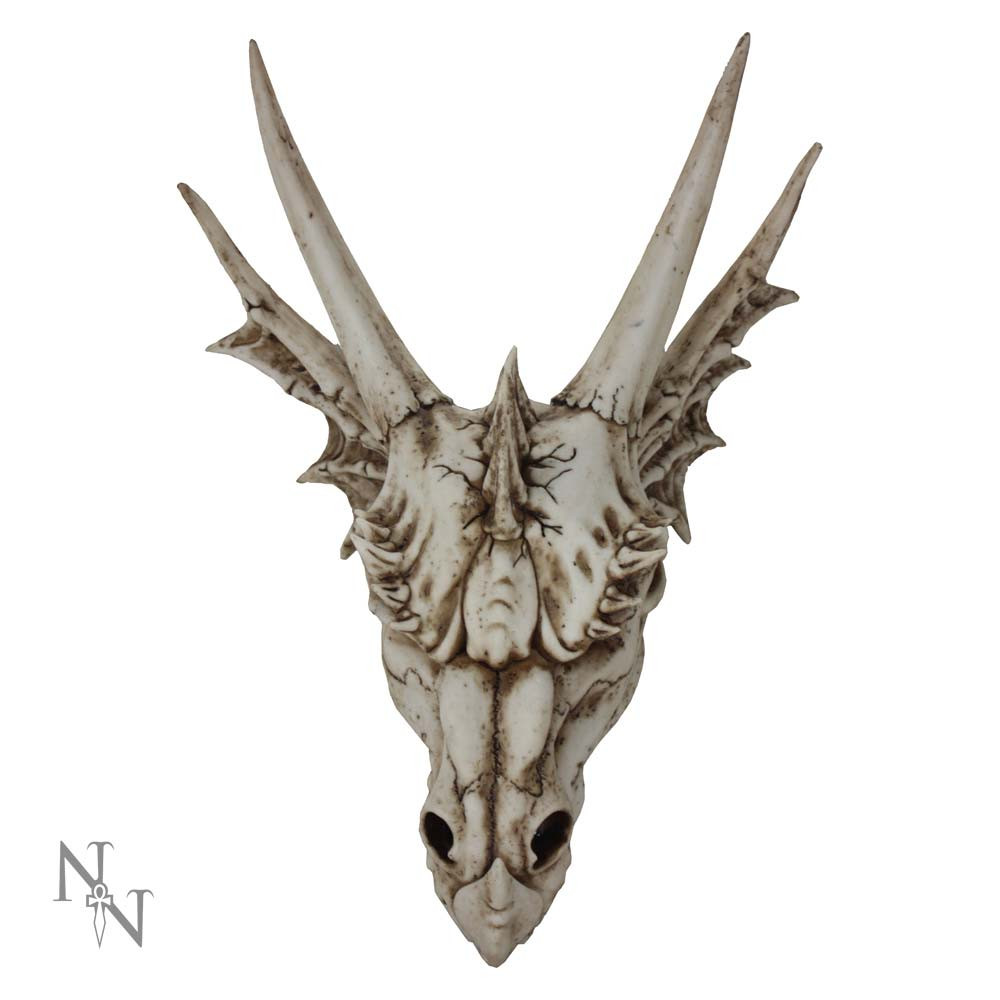 This realistic Dragon Skull would be a welcome addition to any alternative home. Featuring different textures and even slight cracks in the bone, this skull looks completely natural and realistic! Cast in the finest resin before being hand-painted, this piece would be perfect for anyone who loves these mythical beasts.