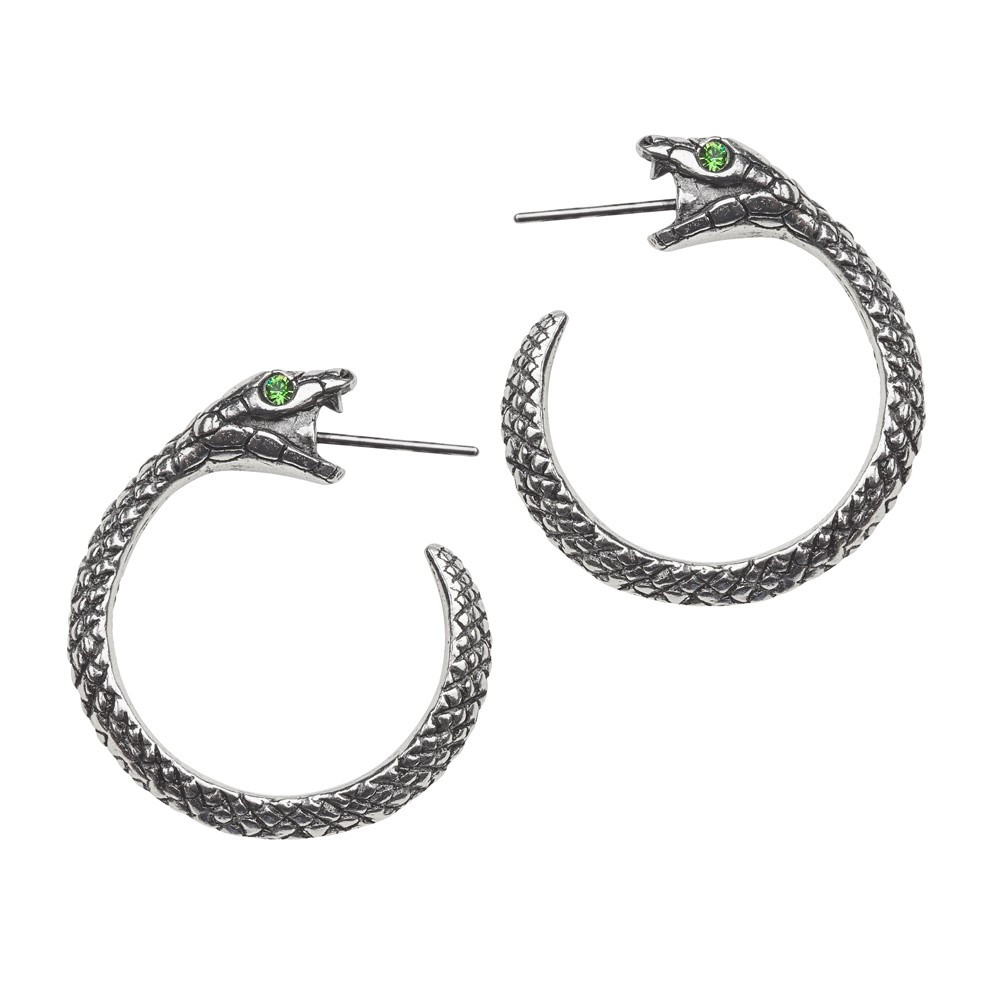 The Ouroboros, ancient Gnostic symbol of eternity, rebirth and unity.