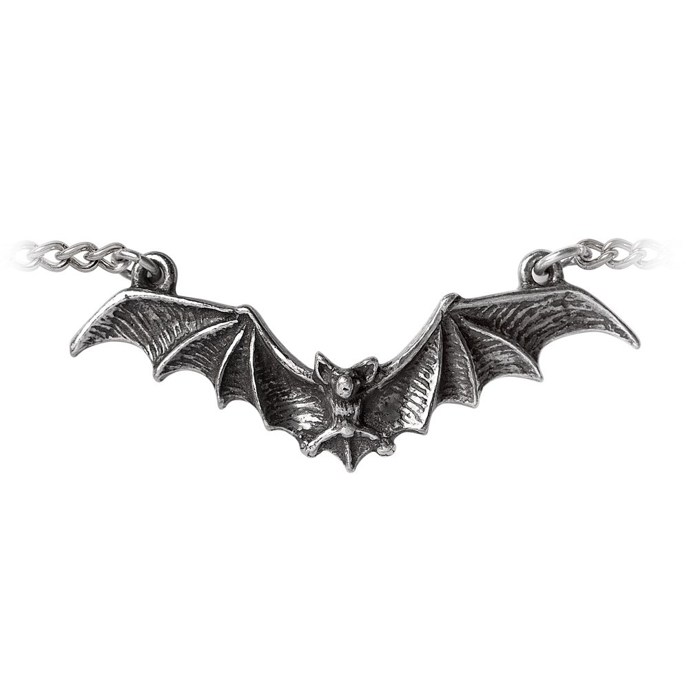 Creature of the night in full flight.