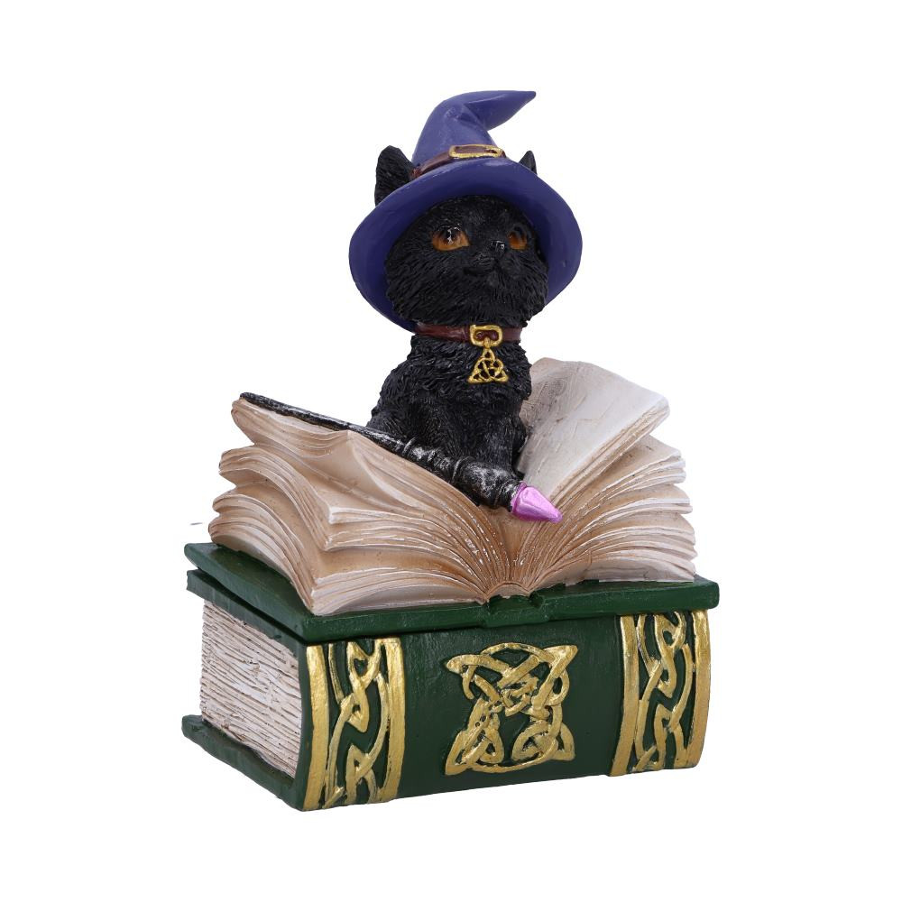 From alternative brand Nemesis Now, this charming cat figurine is cast in high-quality resin before being painstakingly hand-painted. Hocus is feeling playful while sitting inside the pages of an emerald spell book. With a purple Witches hat on his head, he can be lifted to reveal a spacious storage box compartment below, the perfect gift for the charming witch in your life.