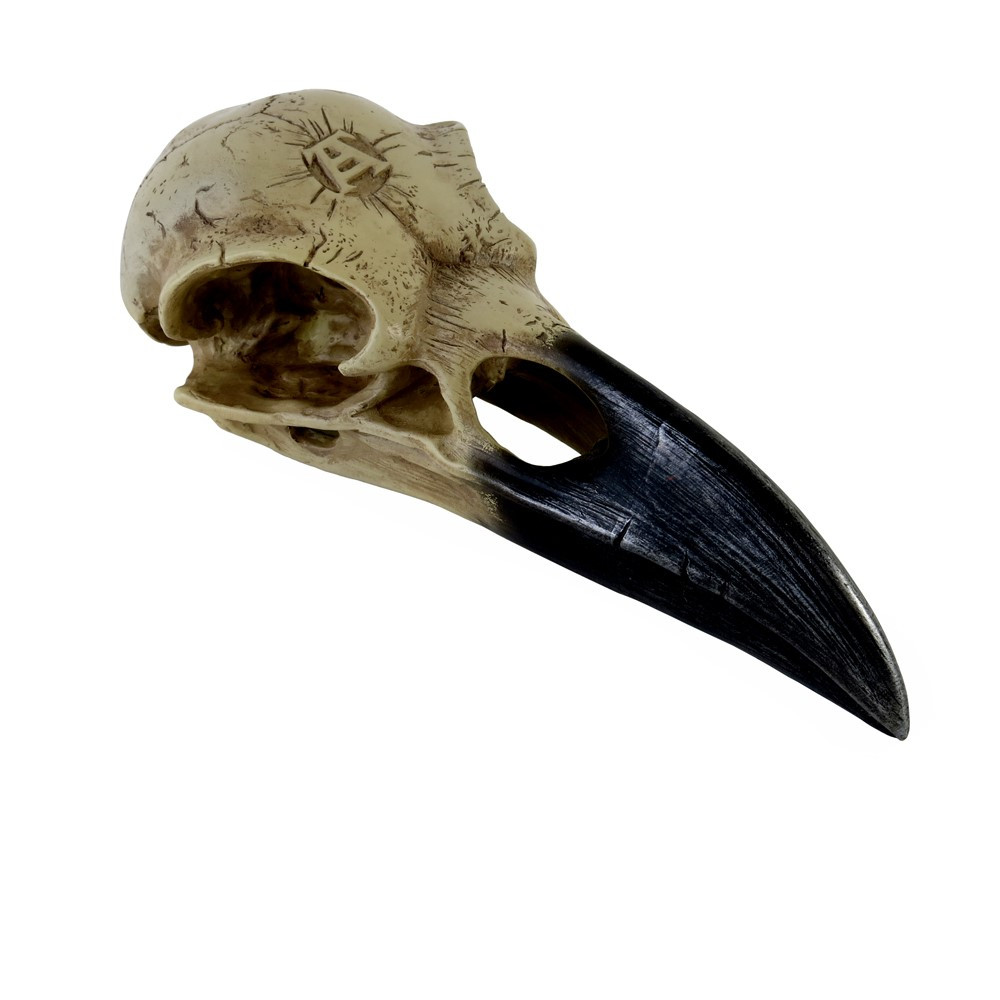 A larger than life mythic raven skull, personifying the ancient god of prophecy ill omen and lost souls.