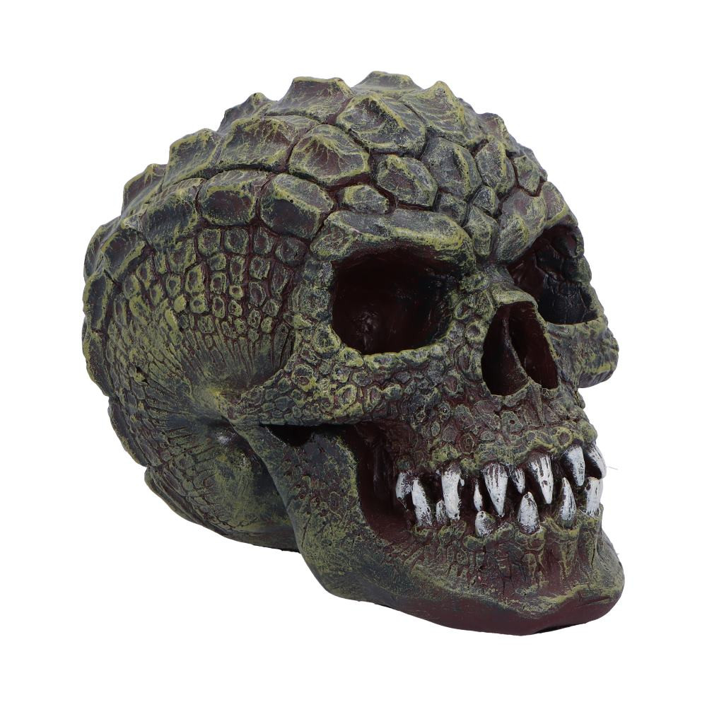 Unleash the mystique of the fantastical with our Reptillian Skull, from Nemesis Now's premium collection, a 17cm masterpiece that seamlessly melds the elegance of a human skull with the allure of a scaled creature. Crafted from high-quality resin, this unique piece features sharp fangs and spiked scales rising from the top, creating a captivating blend of human and reptilian aesthetics. The skull is adorned with intricate green scales, adding a touch of mythical charm. Meticulously painted in vibrant green with nuanced black highlights, the Reptillian Skull stands as a testament to the imaginative fusion of the natural and supernatural. Perfect for those who appreciate the enigmatic beauty of fantasy, this piece is a striking addition to any collection. Explore our diverse range of skulls, each crafted to intrigue and captivate enthusiasts of the extraordinary.