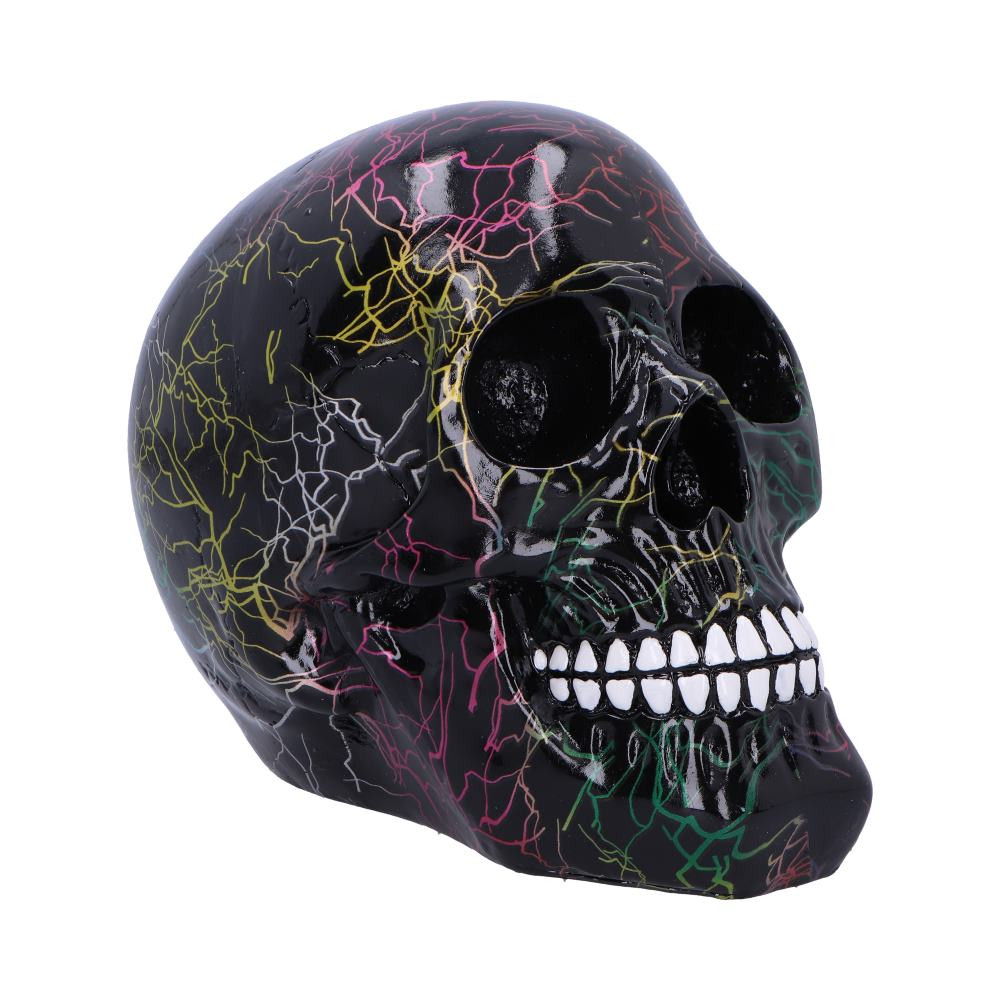 The Electro Decorative Skull offers distinctive styling with its unique electric pattern design. This decorative accent piece features a detailed skull with vibrant multicolored lightning effects across a metallic black surface, presenting an eye-catching visual effect. The contemporary finish with shifting color details provides versatile decorating possibilities for modern interior styles. Made from durable resin, this decorative figure maintains its detailed appearance while providing excellent value. The Electro adds character to any room, making it appealing to customers seeking distinctive decorative elements with contemporary flair. Its compelling design works equally well as a standalone accent or incorporated into themed displays, providing retailers with multiple merchandising opportunities throughout the year while appealing to collectors of unique home accessories seeking something beyond traditional skull designs.
