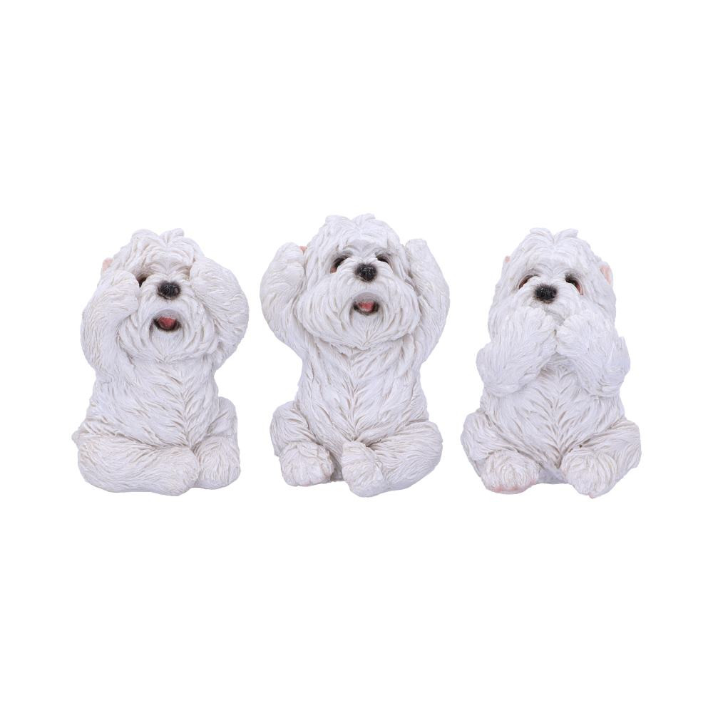 From alternative brand Nemesis Now, these adorable West Highland Terriers are wise beyond their years. Sitting side by side, the three wise Westies sit back on their haunches. One covers their eyes with their paws, sneaking a quick peek through one eye, another covers their mouth in shock, and the third protects their ears. Illustrating the ancient wisdom 'See no evil, hear no evil, speak no evil', these pooches are cast in high-quality resin before being expertly hand-painted.