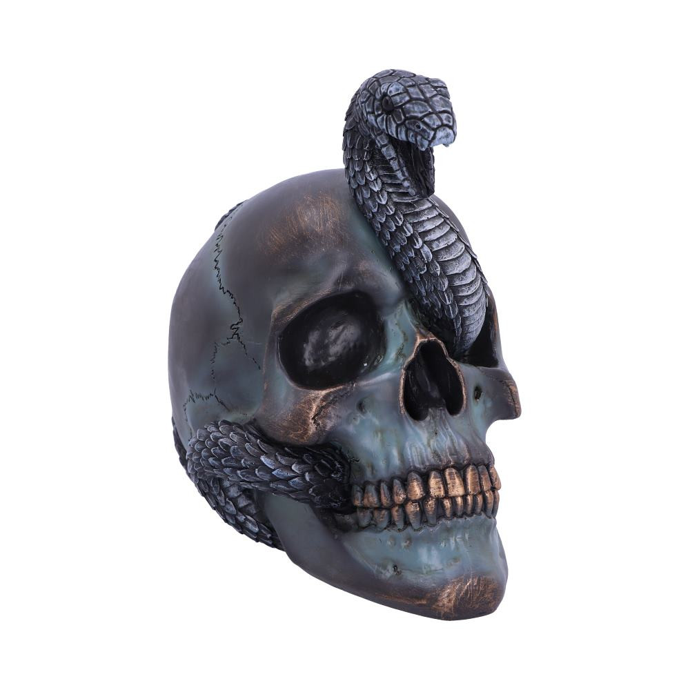 Seen emerging from the eye socket of a human cranium, a scaly snake stares at you with a hostile stare. Cast in the finest resin before being expertly hand-painted, this incredibly detailed piece would make the perfect addition to any alternative home or gothic collection.