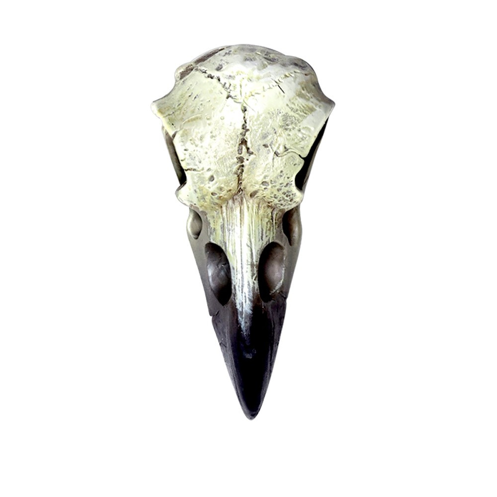 To the followers of Mithras, the raven was a symbol of initiation into the deeper mysteries. A sacred talisman to steady the coarse and point the way through life's maelstrom.