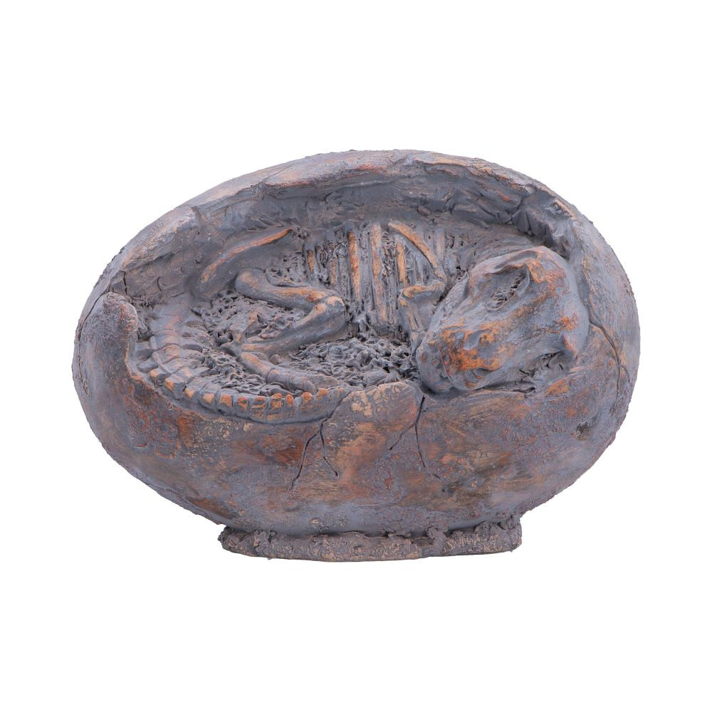 This Tyrannosaurus Rex Egg is an original display piece, designed to capture the mystery and wonder of prehistoric life. Featuring a partially cracked dinosaur egg that reveals a detailed baby T.rex skeleton inside, it is finished in a unique fossilised colour tone for an authentic, eye-catching look. Cast in high-quality polyresin and meticulously hand-painted, the piece is carefully packaged to protect its intricate detailing. Perfect for dinosaur enthusiasts, collectors, and fans of unusual decor, this striking display item adds dramatic character and makes a memorable statement in any home or collection.