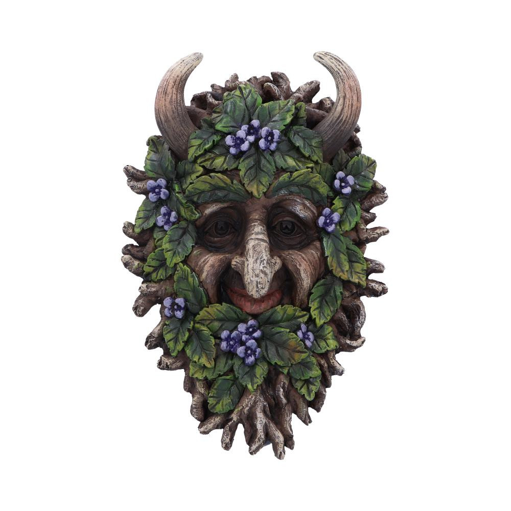 Show your love for anicent shepherds of the forest with Alder, a wall mounted tree spirit. A cheerful face is formed of green leaves and dainty purple flowers with curved horns rising from their head. Cast in the finest resin, before being expertly hand-painted, this piece will bring nature, magic and mystery into any home.