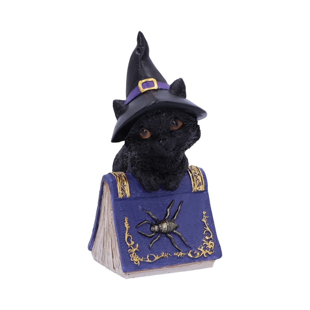 From alternative brand Nemesis Now, this charming cat figurine is cast in high-quality resin before being painstakingly hand-painted. Hocus is feeling playful while standing tall, next to a purple spell book. With a black Witches hat on her head and large silvered spider decorating the grimoire, this piece is the perfect gift for the charming witch in your life.
