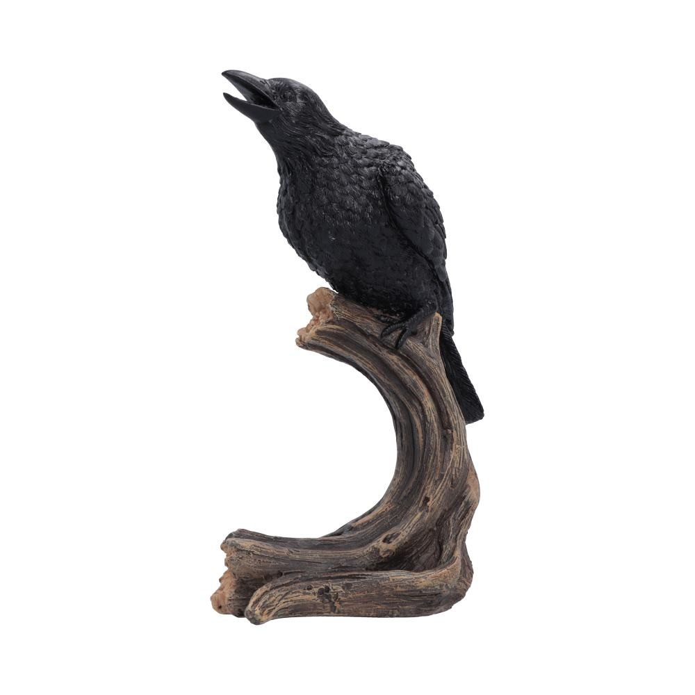 The Ravens Caw Figurine measures 26.8cm tall and features a detailed black raven perched on a curved, textured wooden tree branch, captured mid-caw in a striking, lifelike pose. Expertly cast in high-quality resin and hand-painted from the raven's deep black plumage to the realistic tree stump, it showcases exceptional craftsmanship. Packaged in an original-designed gift box, it makes a wonderful gift or display piece for gothic decor enthusiasts, fantasy collectors, bird lovers and wildlife admirers. Add a touch of mystery and natural beauty to your home with this beautifully crafted range of figurines that is sure to become a standout feature in any collection.
