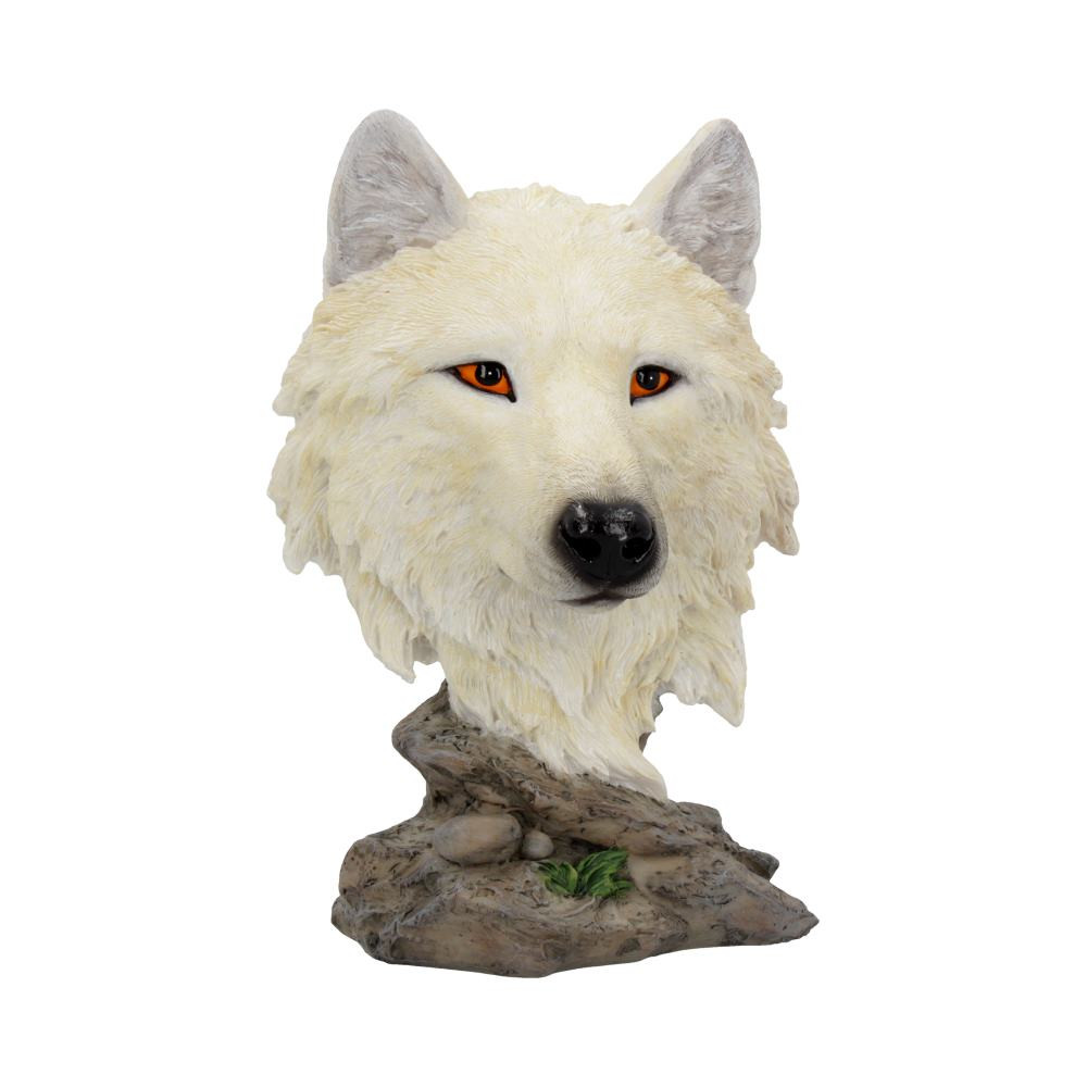 From alternative brand Nemesis Now, this piece is perfect for anyone who has a wild side. The wolf is white in colour and features a set of piercing, orange eyes that are fixed forward. The head of the wolf rests on a rock structure, which becomes both the back and base of the bust. Cast in the finest resin before being lovingly hand-painted, this bust is the perfect addition to any alternative home.