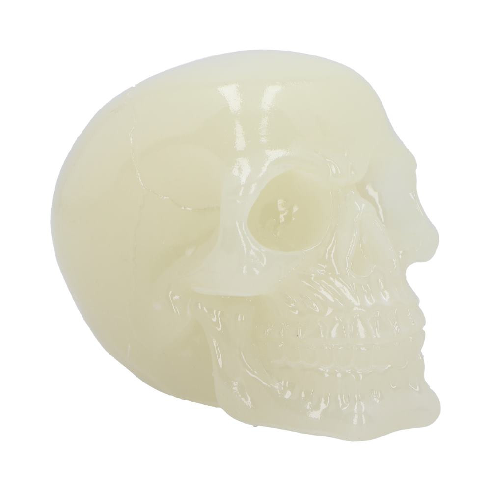 Illuminate your space with the Phosphorescent medium-sized skull, a striking addition that truly stands out in the dark. Perfect for Halloween décor or enthusiasts of gothic and macabre art, this glow-in-the-dark skull shines brightest when the lights go out, casting an eerie, captivating glow even in the darkest corner or cave. Whether you're looking to enhance your spooky ambiance or add a unique touch to your collection, this phosphorescent skull brings a hauntingly beautiful glow to any setting.