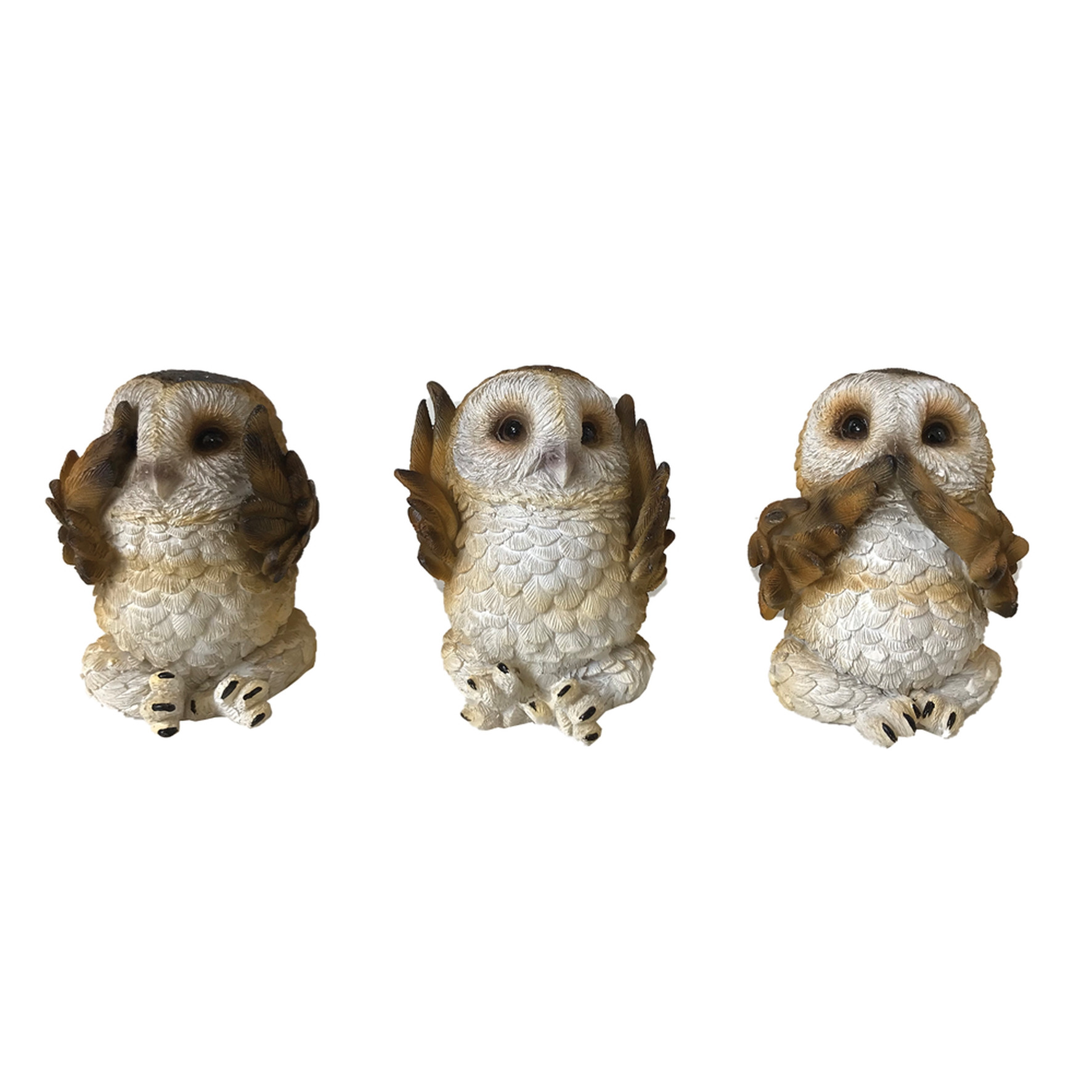 From alternative brand Nemesis Now, these adorable Brown Owls are wise beyond their years. Sitting side by side, the three wise Owls perch on their small taloned feet. One covers their eyes with their wings, sneaking a quick peek through one eye, another covers their mouth in shock, and the third protects their ears. Illustrating the ancient wisdom 'See no evil, hear no evil, speak no evil', these owls are cast in high-quality resin before being expertly hand-painted.