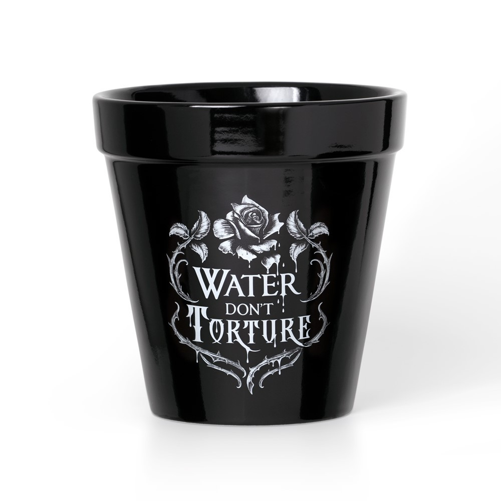 The essential vessel for those who would harness the botanical wisdom of the ancients. Be you Alchemist or Apothecary with a passion to nurture the bounty of nature for good or ill. The flowering of abundance shall be your reward. A must for every Witches midnight garden.